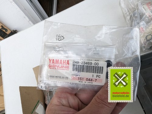 PXL_20240528_174908853